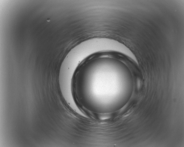 X0000067370383200604031040