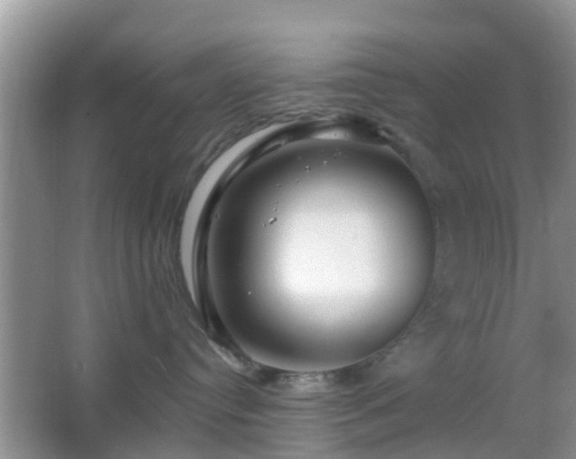 X0000067370384200604031040