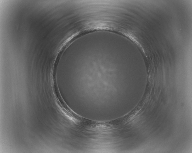 X0000067370390200604031039