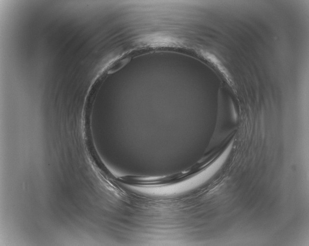 X0000067370391200604031039