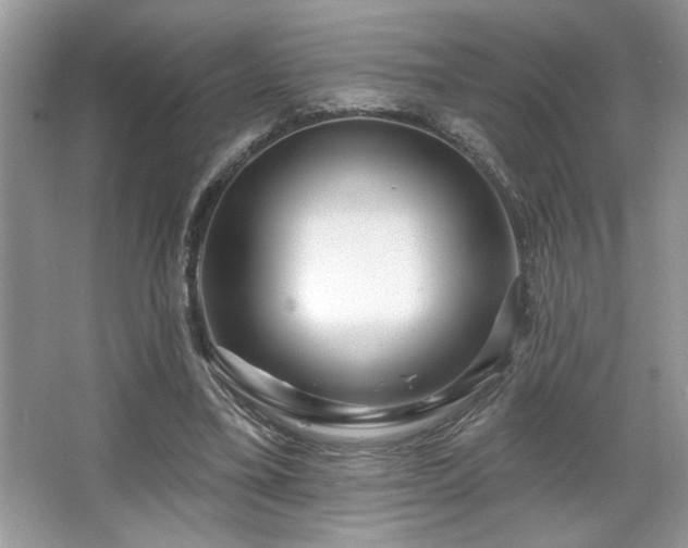 X0000067370395200604031039