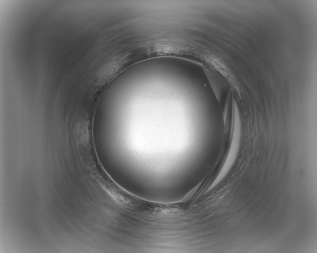 X0000067370401200604031039
