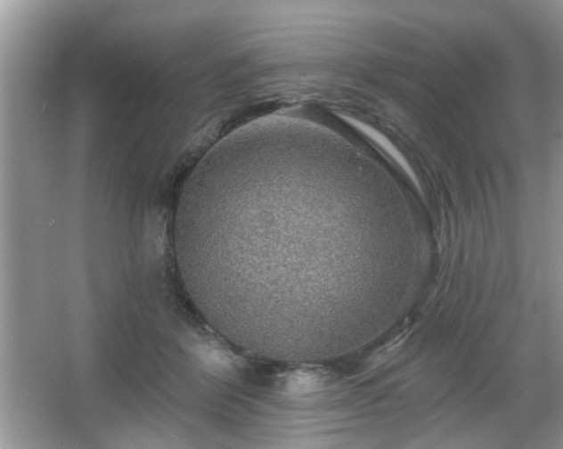 X0000067370412200604031038