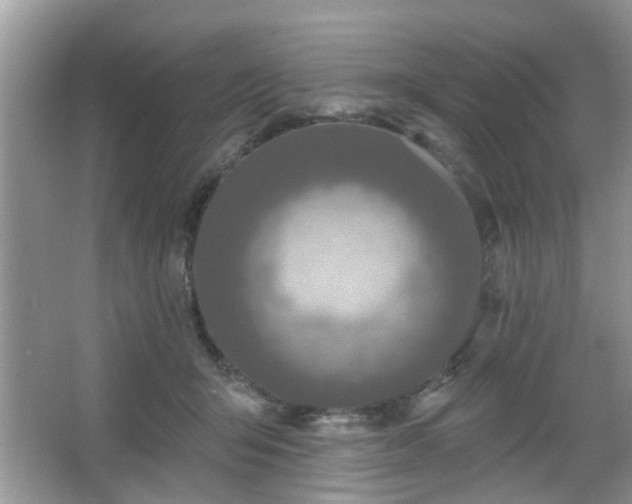 X0000067370415200604031038