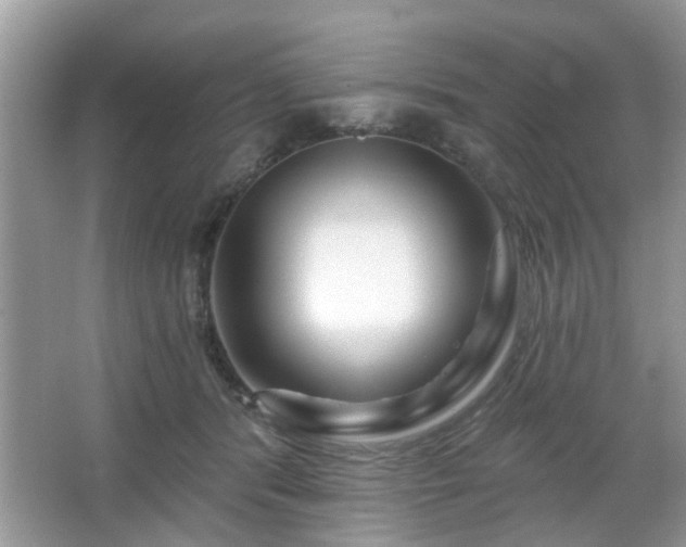 X0000067370416200604031038