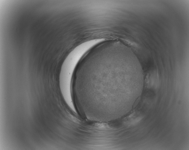X0000067370424200604031038