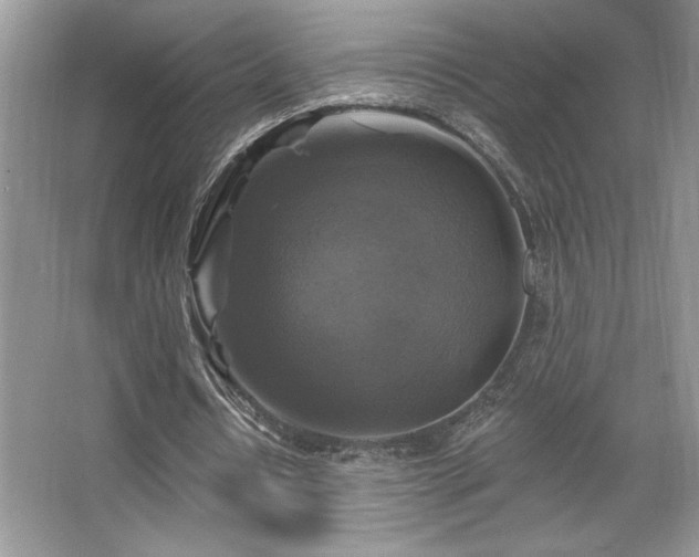 X0000067370434200604031037