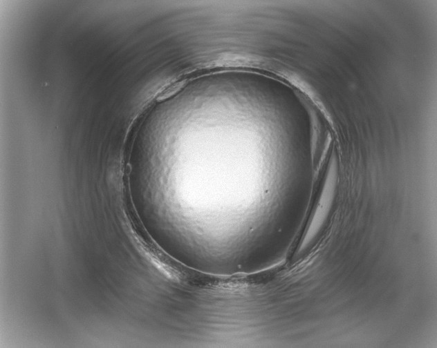 X0000067370437200604031037