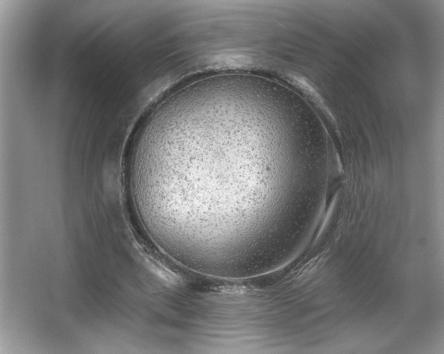 X0000067370439200604031037