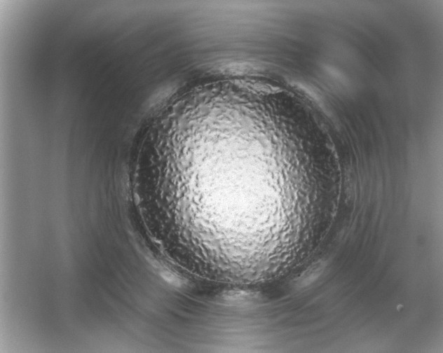 X0000067370453200604031038