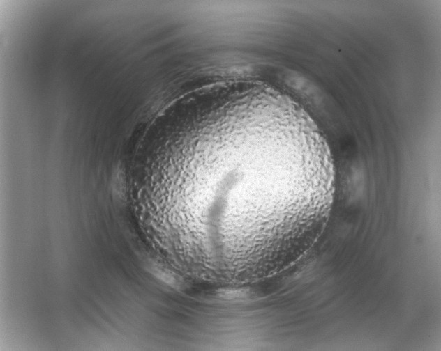 X0000067370457200604031038