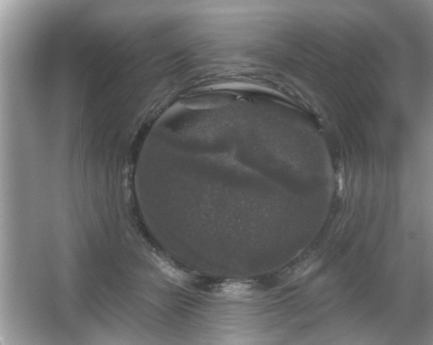 X0000067370462200604031038