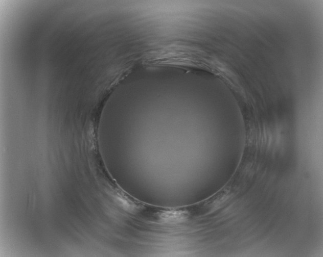 X0000067370465200604031038