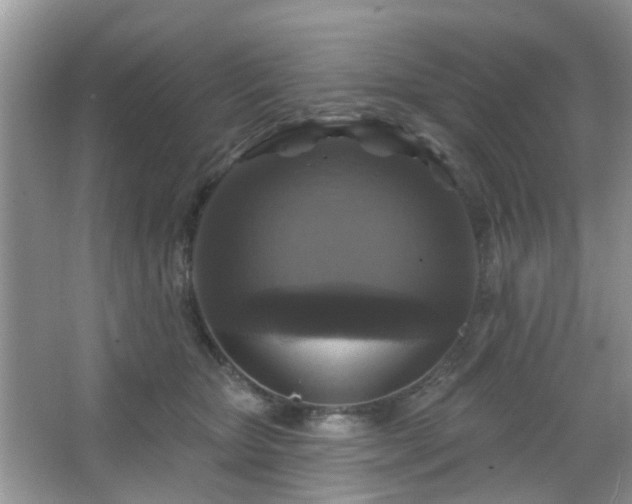 X0000067370467200604031038