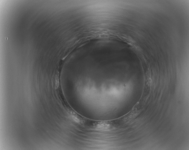 X0000067370471200604031038