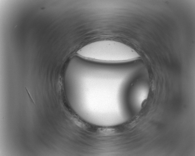 X0000067370476200604031038