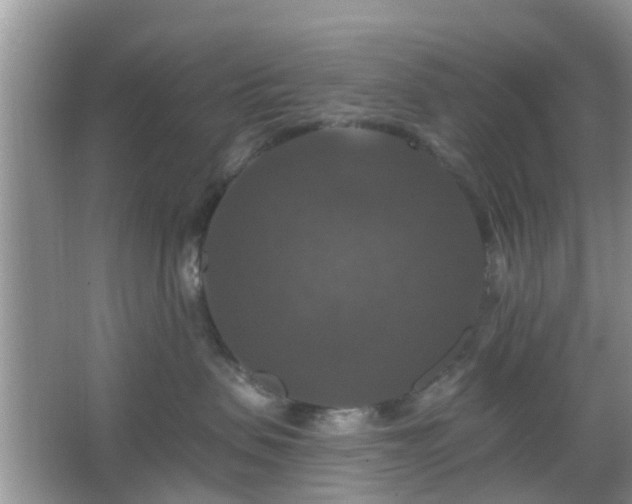 X0000067370479200604031038
