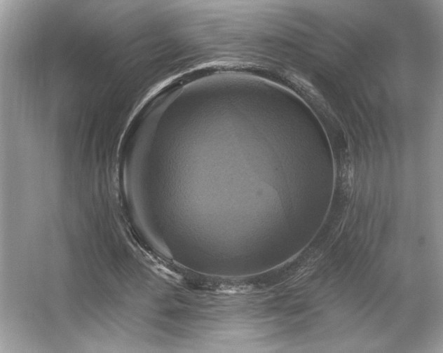 X0000067370484200604031037