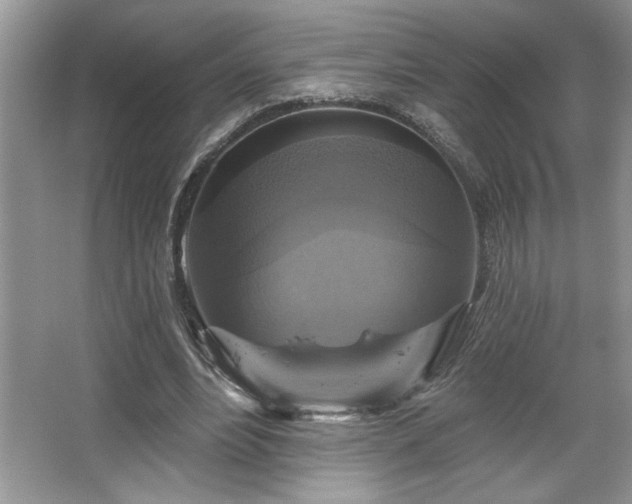 X0000067370488200604031037