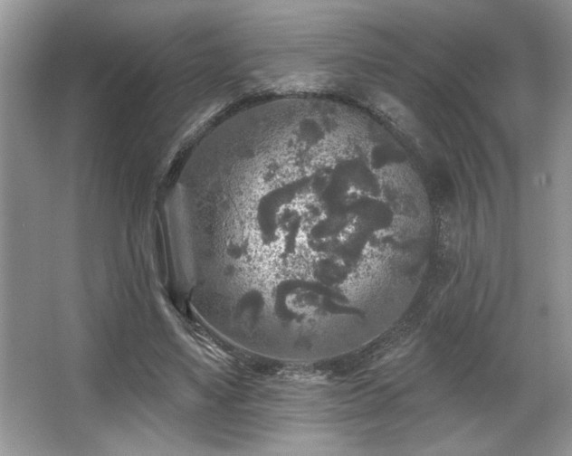 X0000067370491200604031037