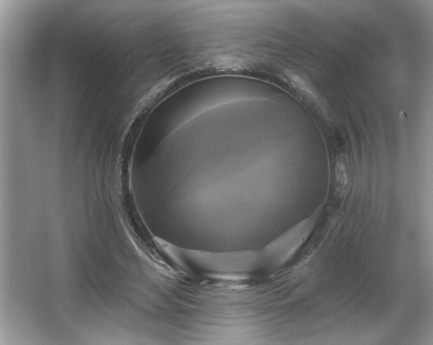 X0000067370492200604031037