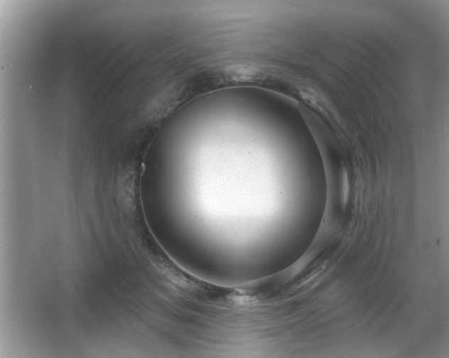 X0000067370509200604031037
