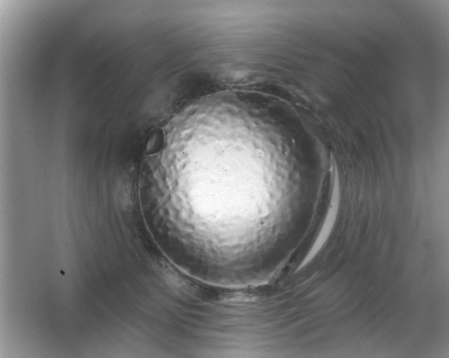 X0000067370515200604031037