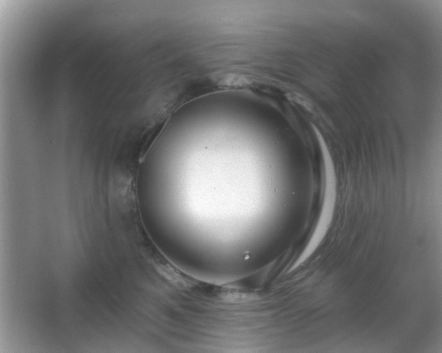X0000067370521200604031037
