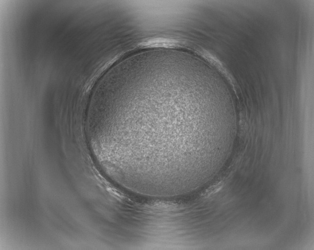 X0000067370529200604031036