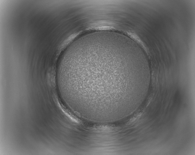 X0000067370533200604031036