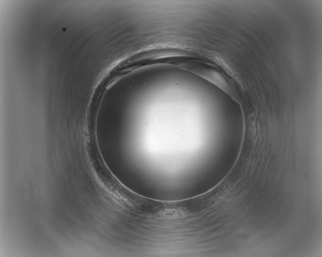 X0000067370536200604031036
