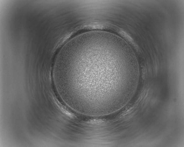 X0000067370537200604031036
