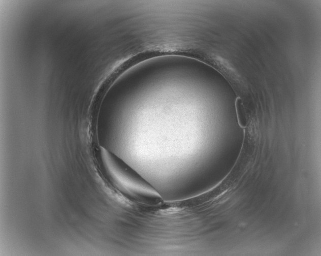 X0000067370540200604031036
