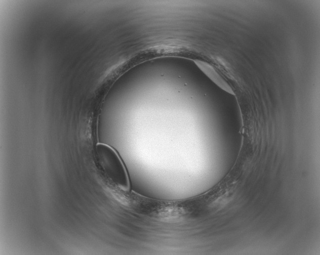 X0000067370543200604031036