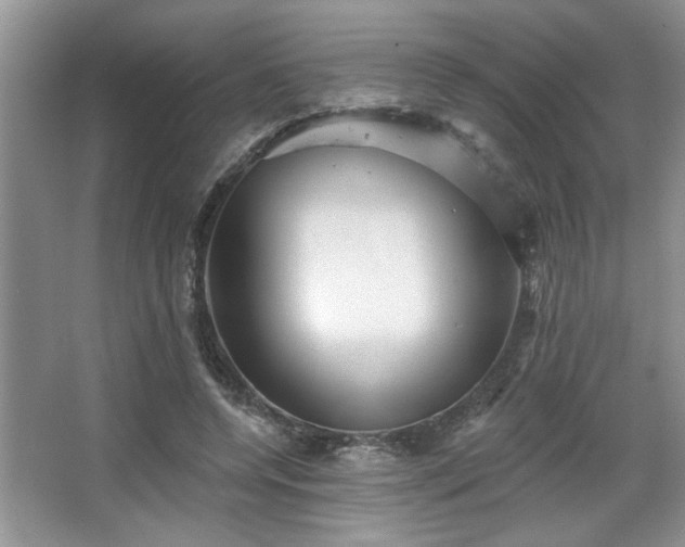 X0000067370544200604031036