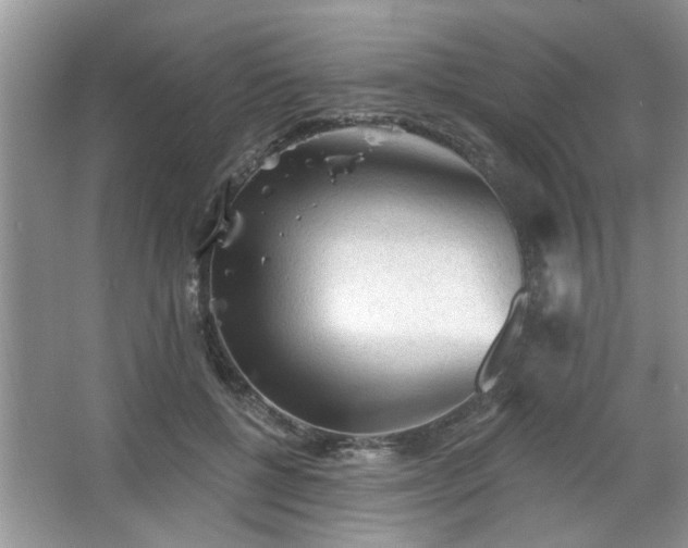 X0000067370552200604031036