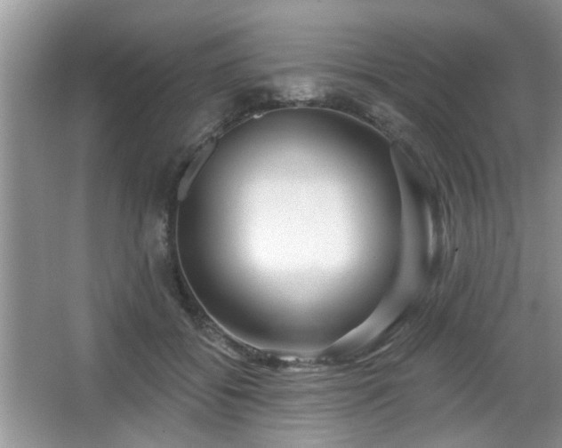 X0000067370556200604031036
