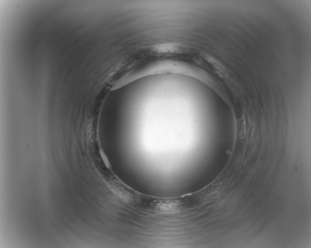 X0000067370560200604031036