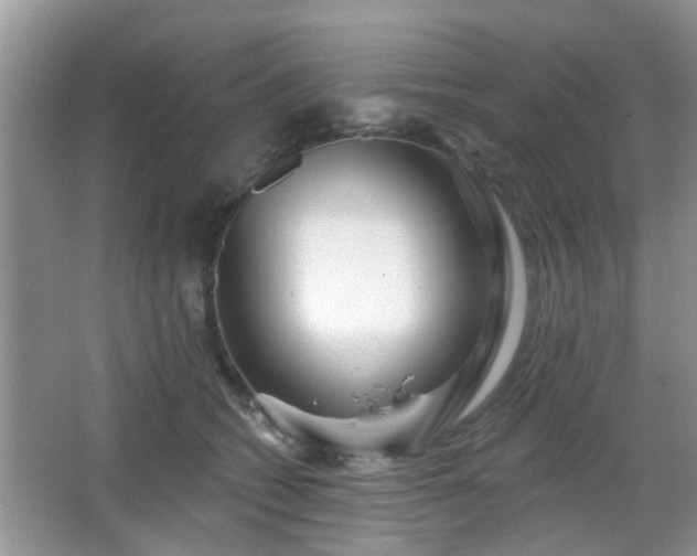 X0000067370562200604031036