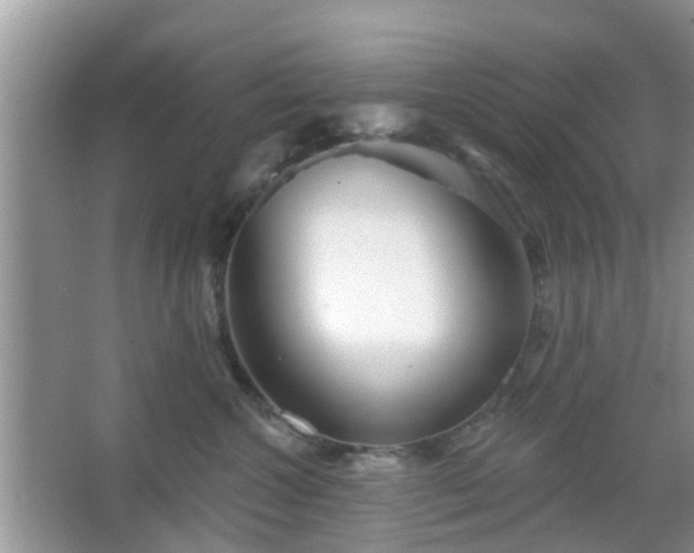 X0000067370572200604031036