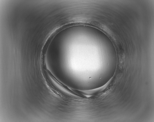 X0000067370580200604031036