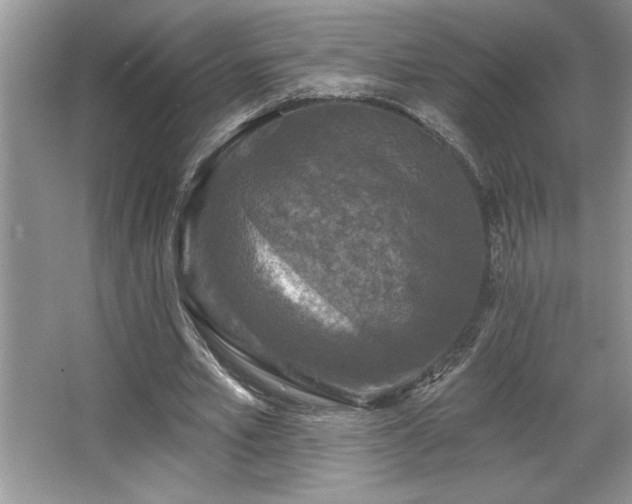 X0000067370581200604031036