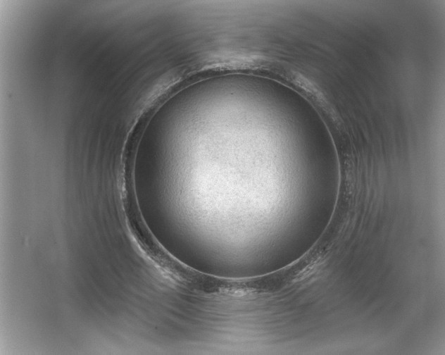 X0000067370582200604031036