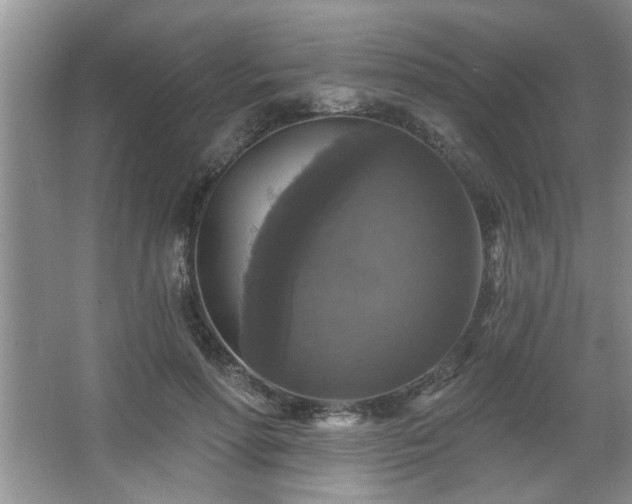 X0000067370598200604031035