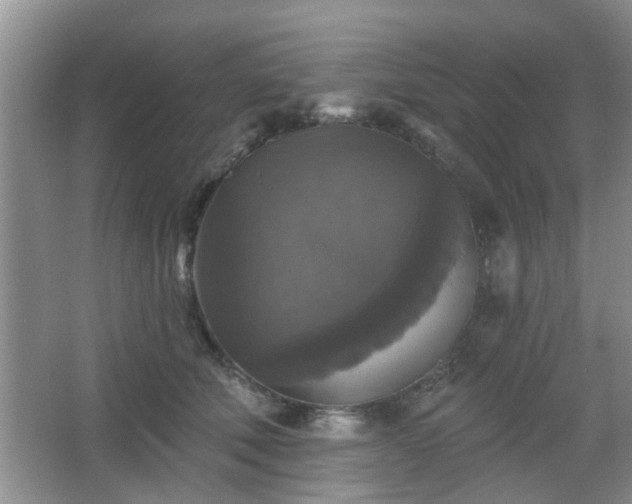 X0000067370610200604031035