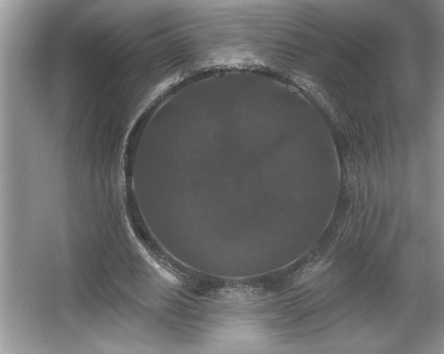 X0000067370630200604031034