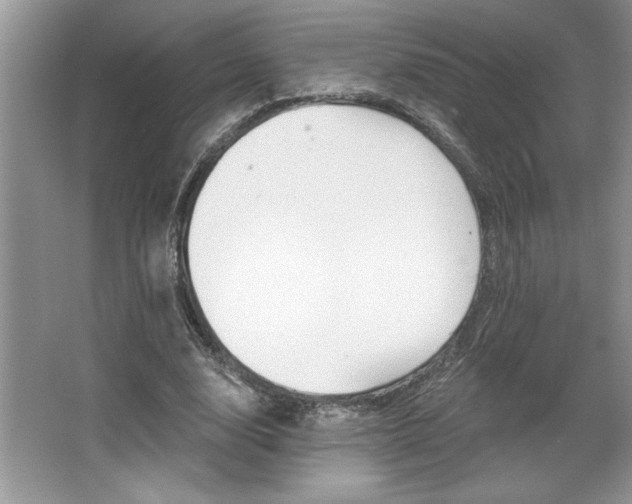 X0000067370632200604031034