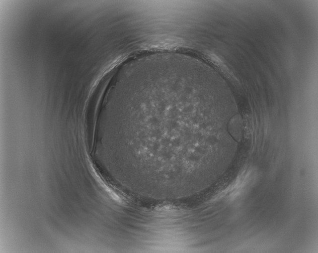 X0000067370634200604031034