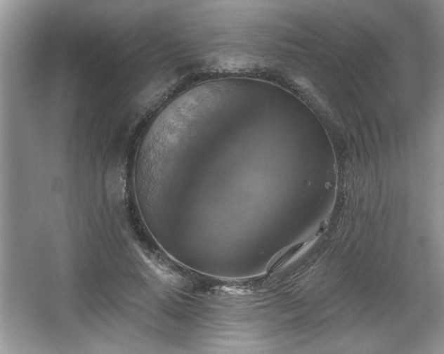X0000067370640200604031034