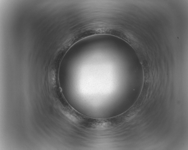 X0000067370646200604031034